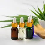 Ministry of Ayush promoting Indian traditional medicine on international platforms