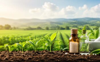 Agro-homeopathy concept showing healthy crop growth in a sustainable agricultural field with homeopathic preparations.