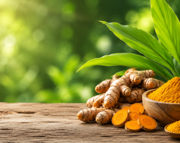 Curcuma longa (turmeric) rhizomes, powder, and flowering plant used in homoeopathic pharmacy and traditional medicine